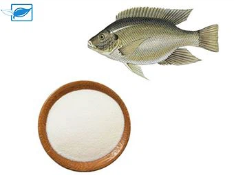 Kollagen og kollagenpeptid